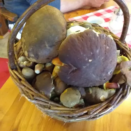 Benatecka 3* Rokytnice nad Jizerou