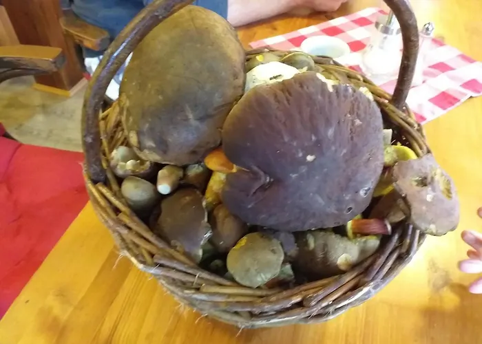 Benatecka 3* Rokytnice nad Jizerou